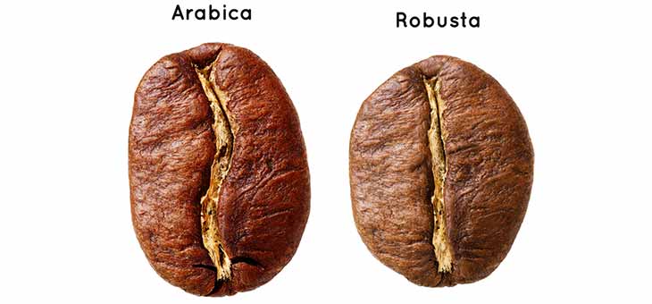 Arabica vs Robusta Coffee: What’s the Difference?