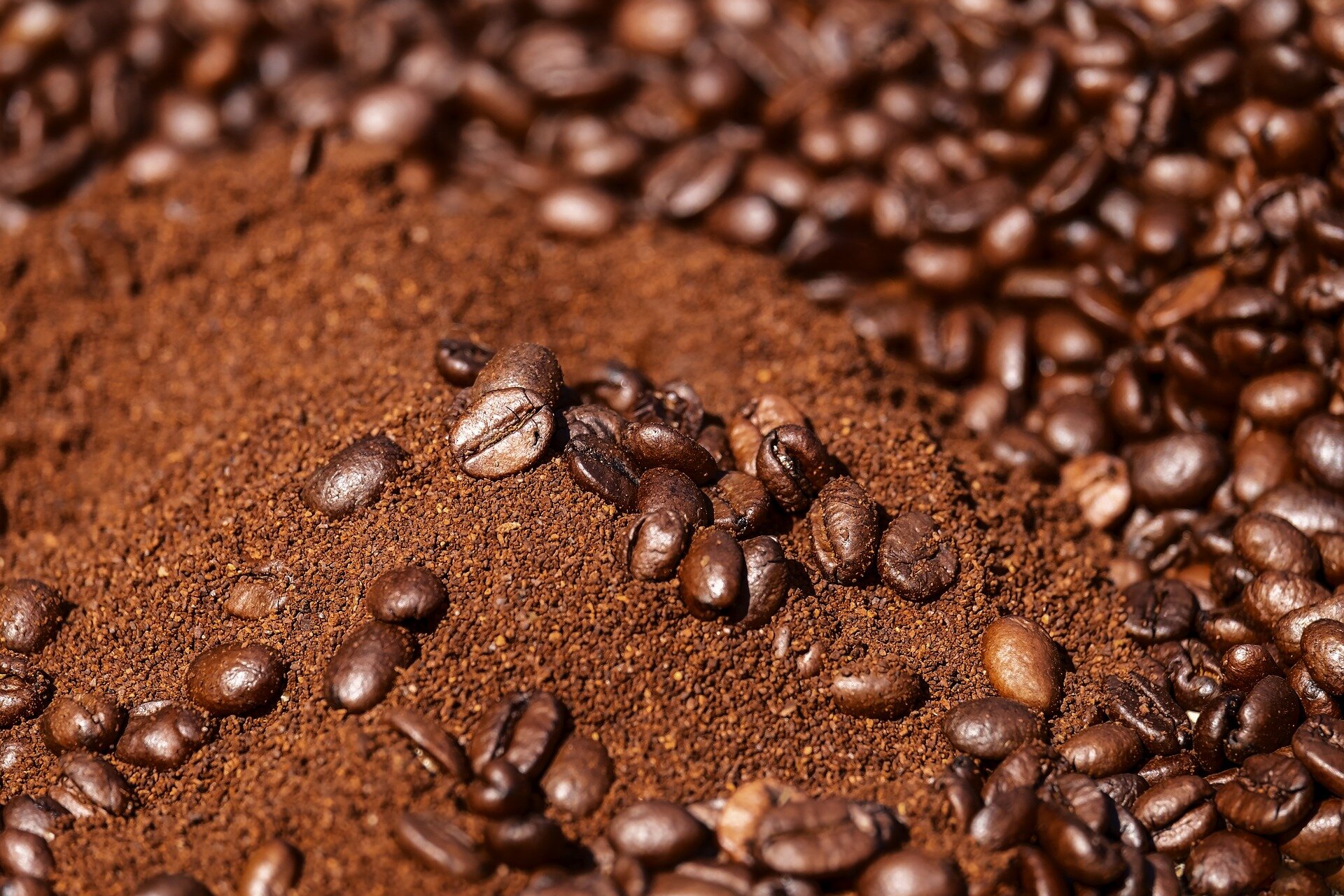  How coffee waste could help Neuroscience