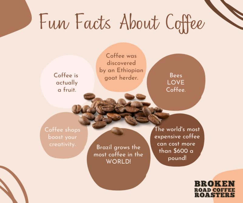 Interesting Coffee Facts