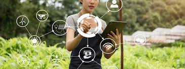 Blockchain Technology in the Coffee Supply Chain: Could It Improve Traceability?