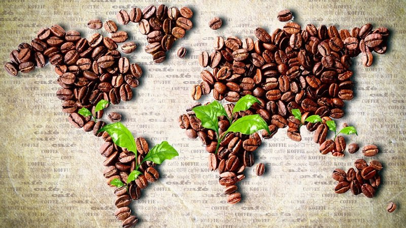 Coffee Around the World